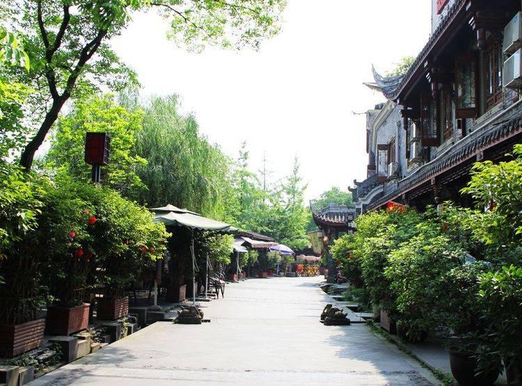 植物大战僵尸